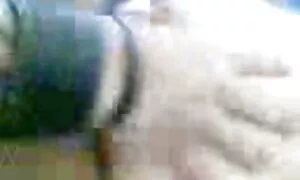 मलय क्रिया 5 वर 1 गु ...